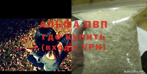 индика Белокуриха