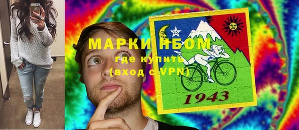 индика Белокуриха