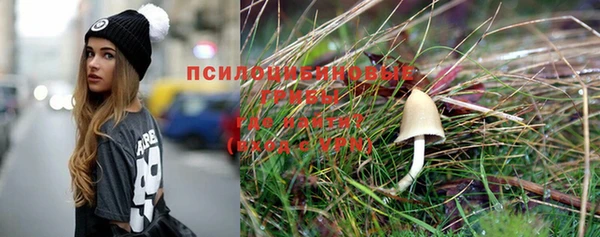 ГАЛЛЮЦИНОГЕННЫЕ ГРИБЫ Протвино