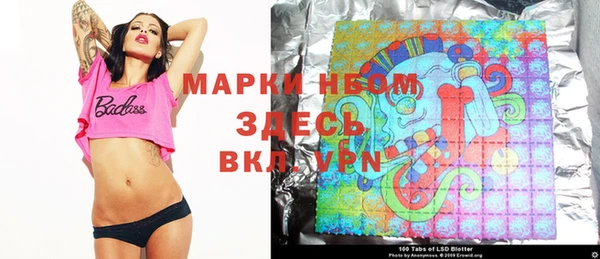 индика Белокуриха