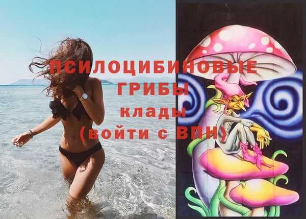 стафф Белоозёрский
